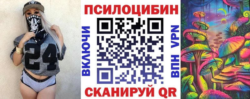 Псилоцибиновые грибы MAGIC MUSHROOMS  как найти закладки  Николаевск-на-Амуре 